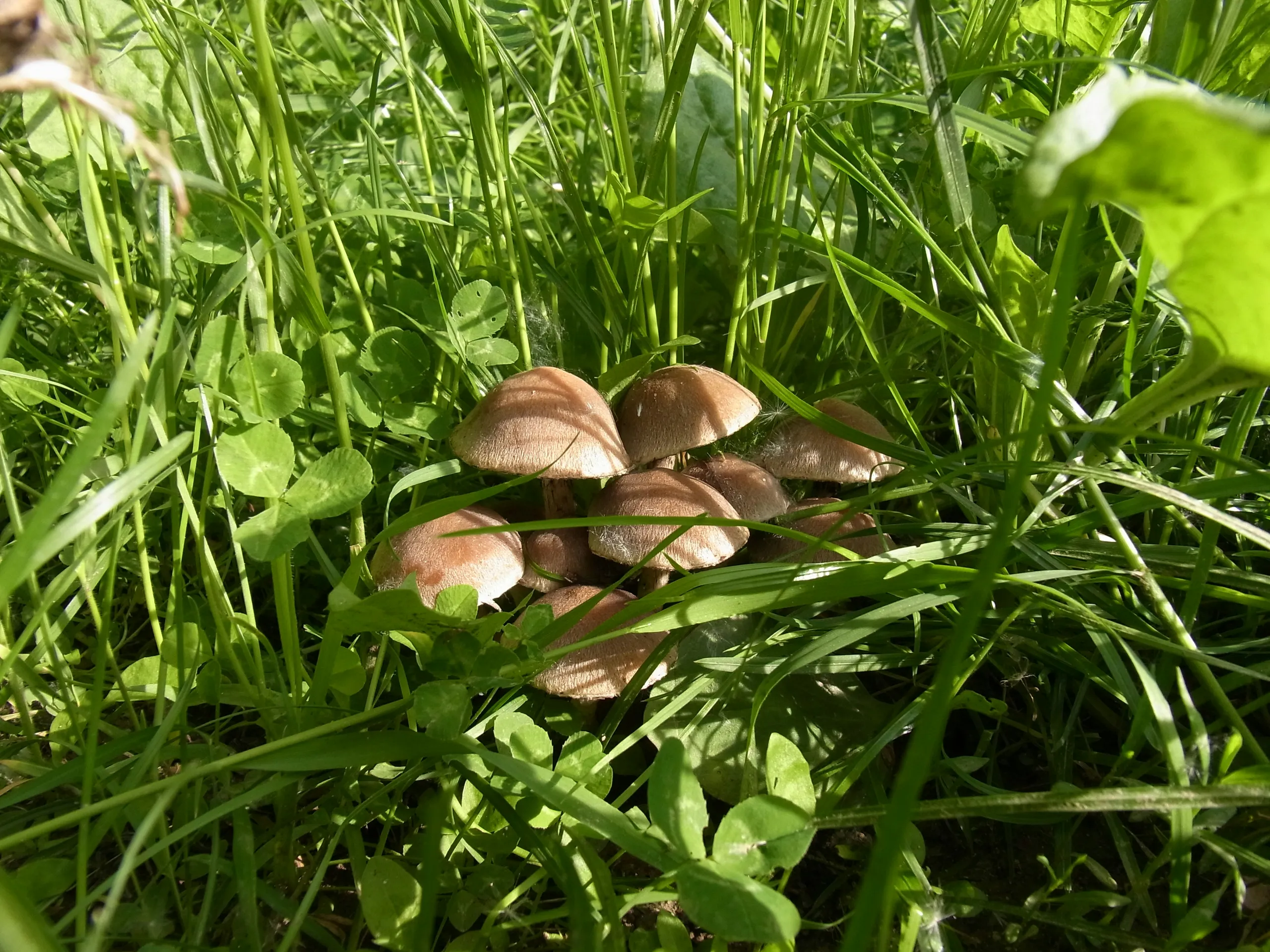 Senderos del bosque en la zona protegida del parque natural de los alrededores